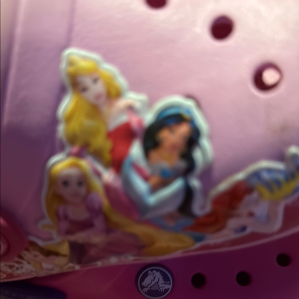 Pink Clog with Princess Design